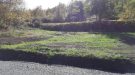 20201008_135957.jpg
