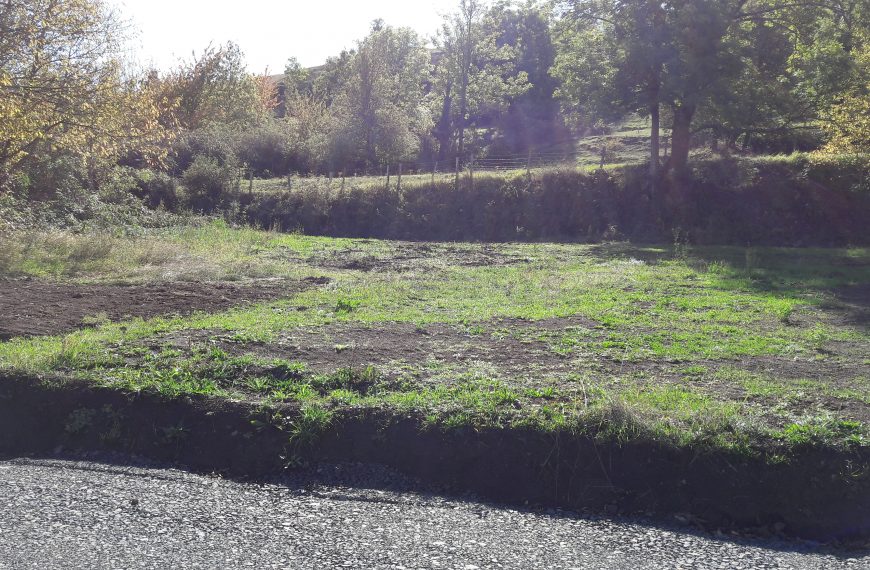 20201008_135957.jpg