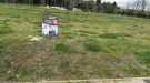 lot 6 Naquera.jpeg